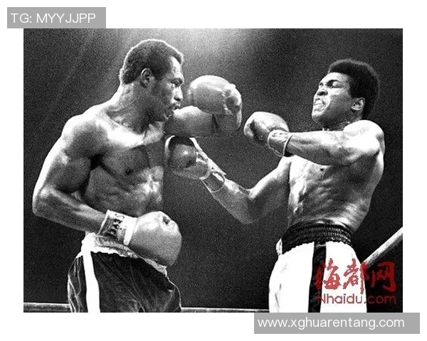 伯比克与阿里巅峰对决谁能在拳坛称霸荣耀之路